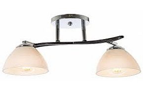 ceiling light with w