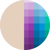 biscuit & mixed color